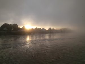 Bordeaux Wine Cruise through Southwest France