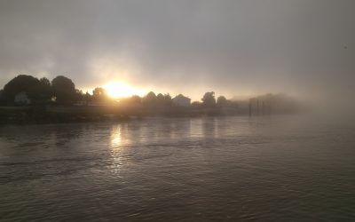 Bordeaux Wine Cruise Through the Vineyards of France