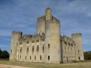 Bordeaux Wine Cruise through Southwest France