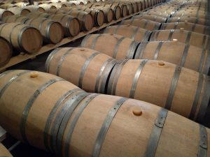 Bordeaux Wine Cruise through Southwest France