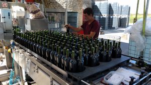 Bordeaux Wine Cruise through Southwest France