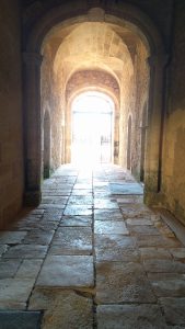 Bordeaux Wine Cruise through Southwest France