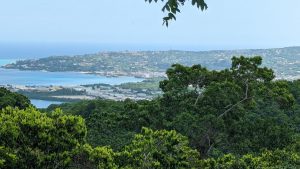 The View from the Rockland Hummingbird Sanctuary
