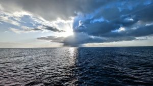 Couples Swept Away in Jamaica